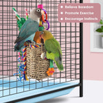 Cockatiel foraging for treats inside the KATUMO hanging basket