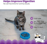 Cat using blue Catstages slow feeder bowl for dry food
