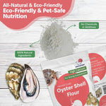 Oyster shell supplement in a hermit crab feeding dish