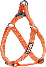 Pawtitas dog harness blue teal yellow color pattern