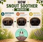 Soothing plant based pet care product for outdoor dogs during hot weather