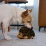 Outward Hound hedgehogz toy highlighting minimal seams design