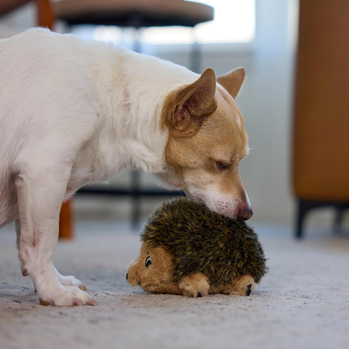 Outward Hound hedgehogz toy highlighting minimal seams design