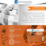 Dermoscent 4 pipettes of 2.4 ml canine skin hydration