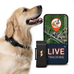 PAJ GPS tracker for dogs front view on collar