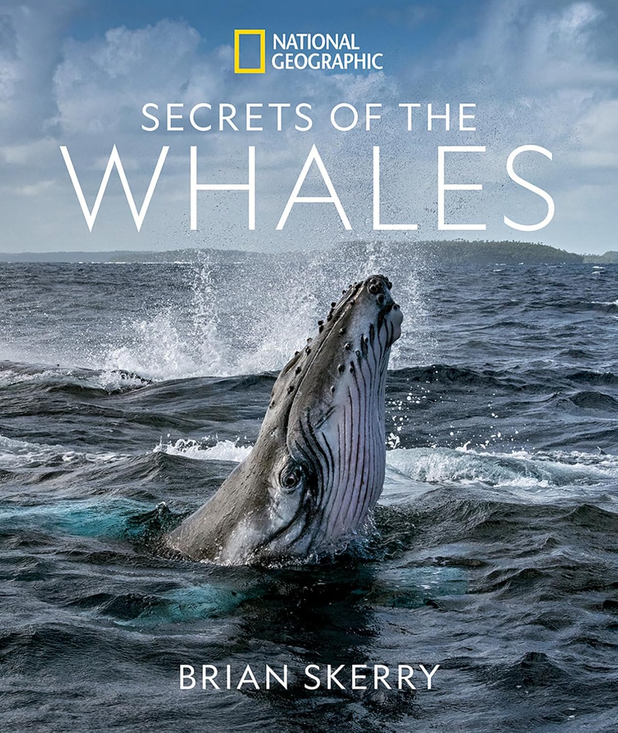 Secrets of the Whales - Image 1