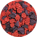 Exotic Nutrition Critter Selects treats inside a small pet foraging toy enrichment