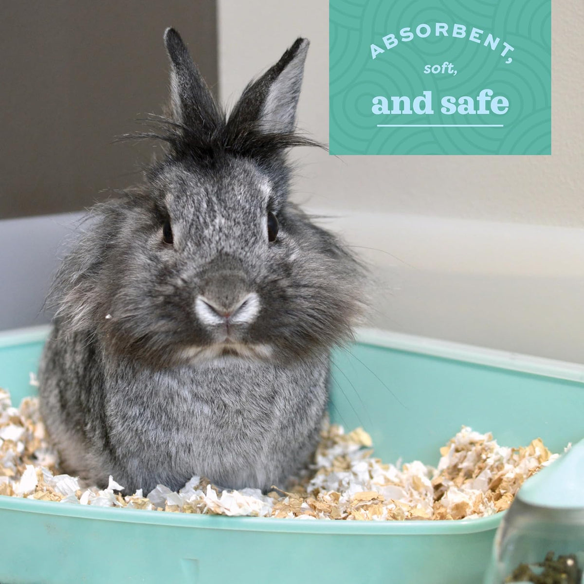 Oxbow bedding being used in a guinea pig habitat