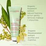 Clarins purifying cleanser key botanical ingredients display