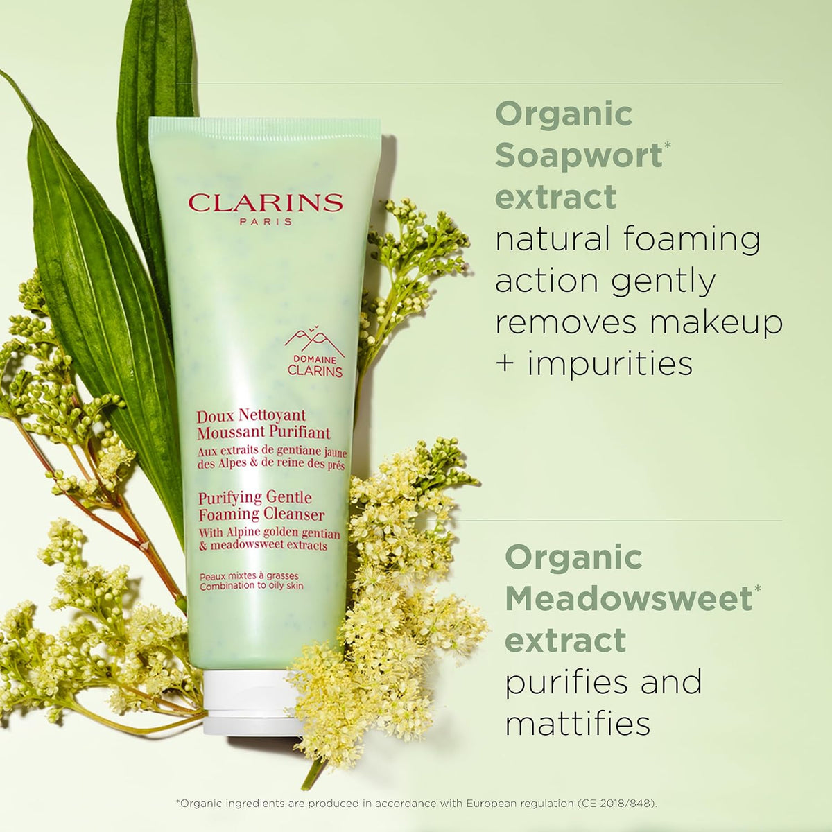Clarins purifying cleanser key botanical ingredients display