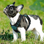 Eagloo Dog Harness for Small Dogs, No Pull Pet Vest with 2 Leash Clips | No Choke with Handle, Adjustable Comfort Fit, Reflective Strips, Easy Walking Control, Dark Green, Small - Image 9