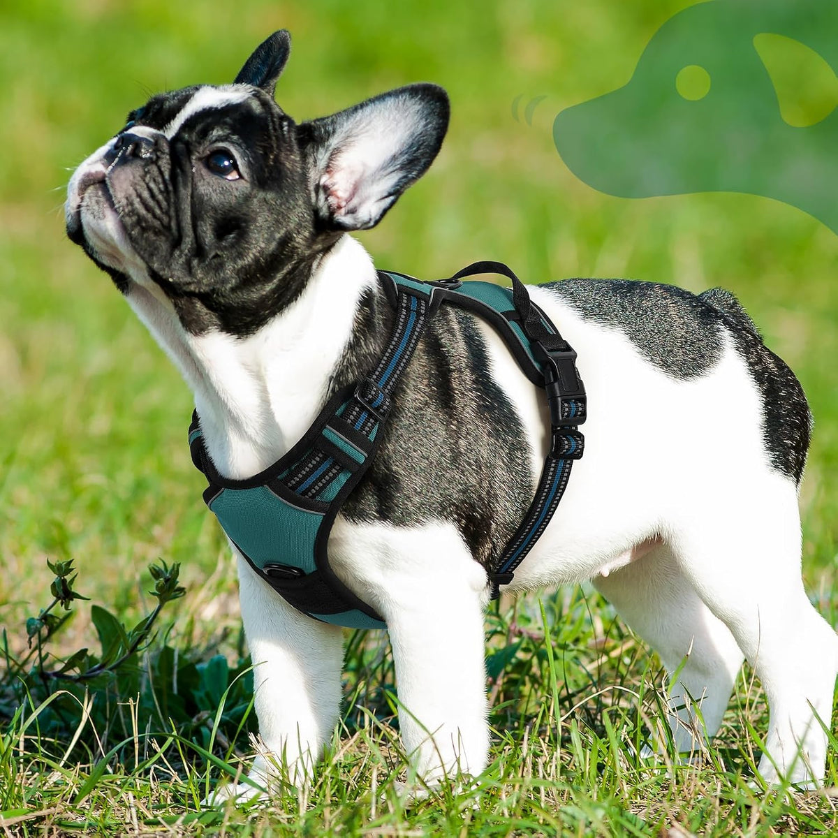 Eagloo Dog Harness for Small Dogs, No Pull Pet Vest with 2 Leash Clips | No Choke with Handle, Adjustable Comfort Fit, Reflective Strips, Easy Walking Control, Dark Green, Small - Image 9