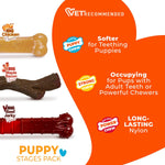 Nylabone maple bacon flavored wood stick chew toy