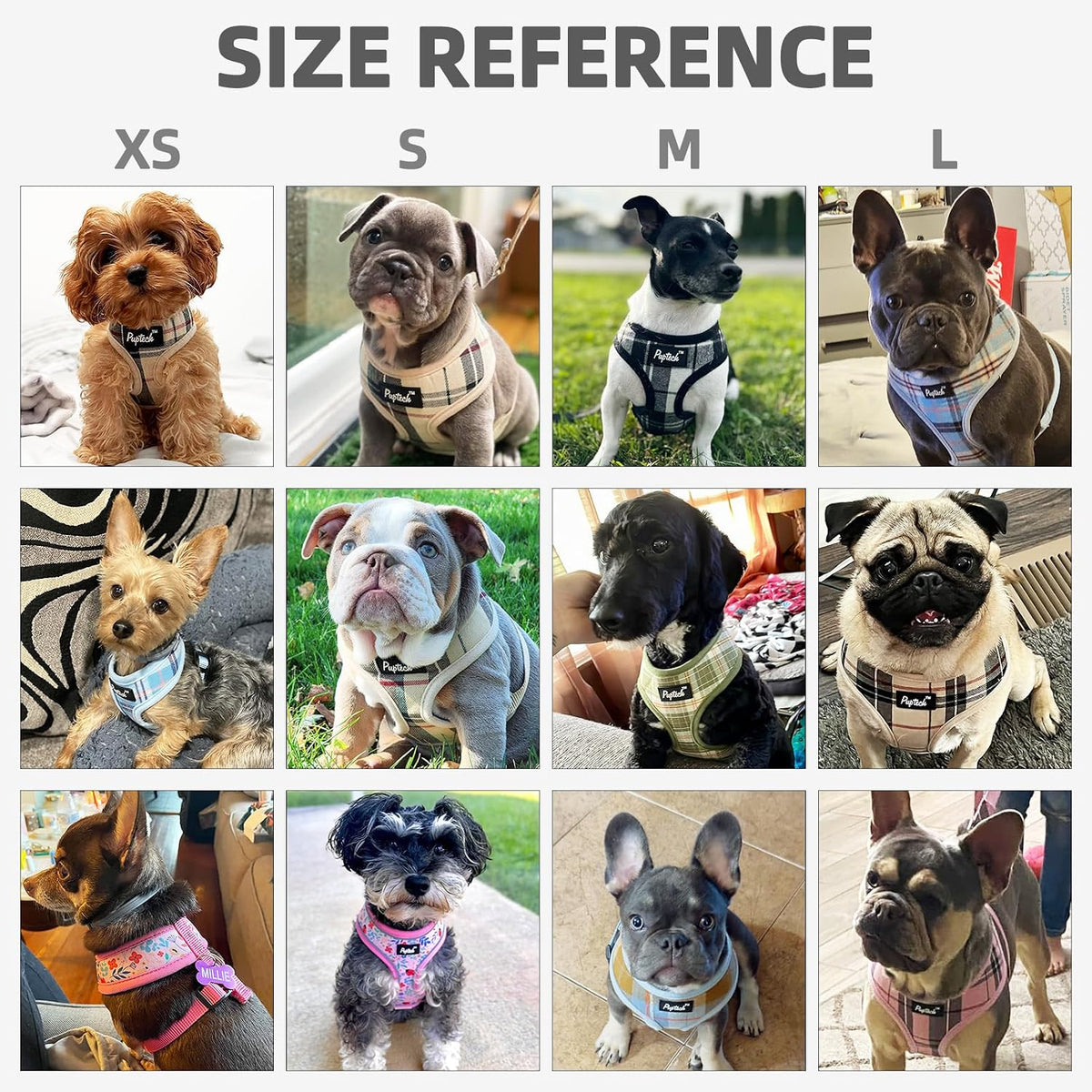 PUPTECK pet accessories complete set overview