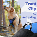 Breathable air mesh padded pet vest texture close up shot