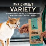 Authentic USA imported Vital Essentials cat treats 4 ounce bag