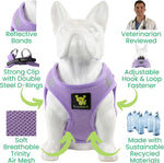 Small puppy wearing lavender XXXS harness