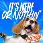 Nerf Dog 16.5in Nylon Ultraplush Crinkle Wing Launching Duck Dog Toy - Green/Light Blue - Image 9