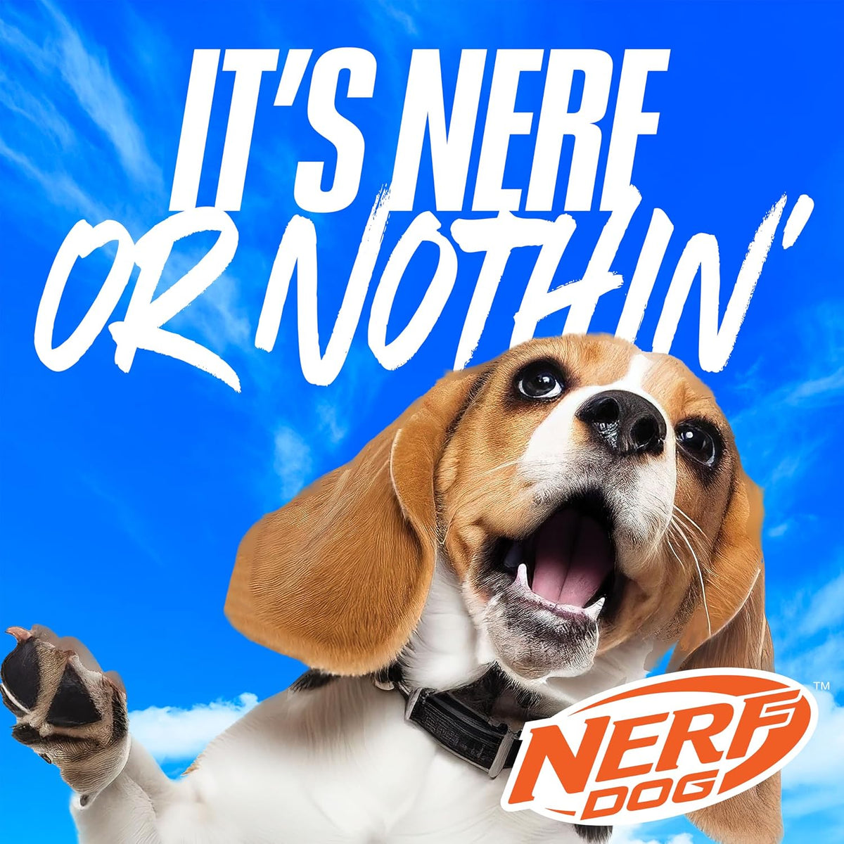 Nerf Dog 16.5in Nylon Ultraplush Crinkle Wing Launching Duck Dog Toy - Green/Light Blue - Image 9
