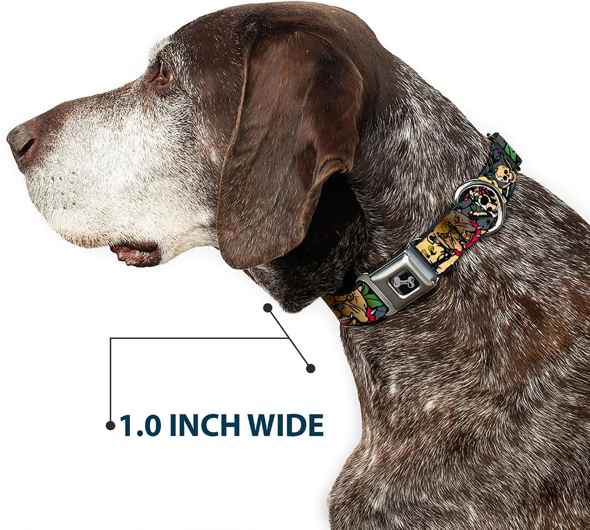 Side profile of adjustable strap and stainless steel components