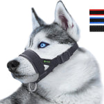 Lepark nylon dog muzzle front view on a large black dog.