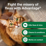 Advantage brand professional lathering cat shampoo for flea bite dermatitis
