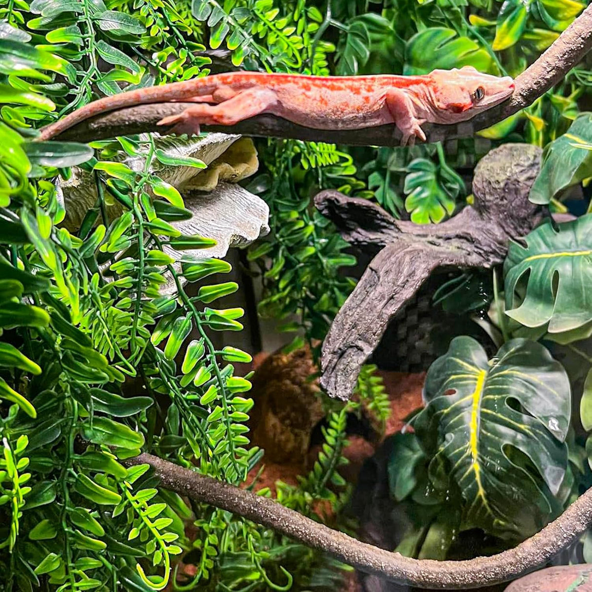 Detailed view of bendable reptile vine surface