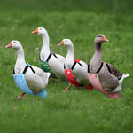 Magnoloran reusable pet clothes packaging containing the two pack poultry solution