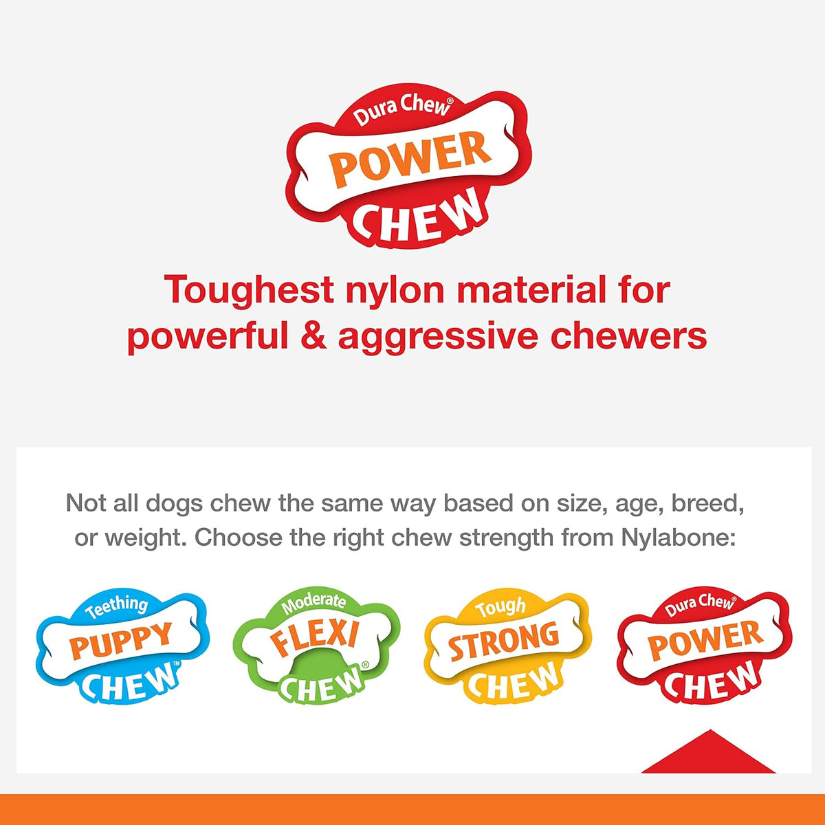 Nylabone Power Chew Basted Blast Dog Chew Toy, Bacon & Steak Flavor | X-large, durable dog toys for aggressive chewers, long lasting, discourages destructive chewing, for dogs 50+ lbs - Image 14