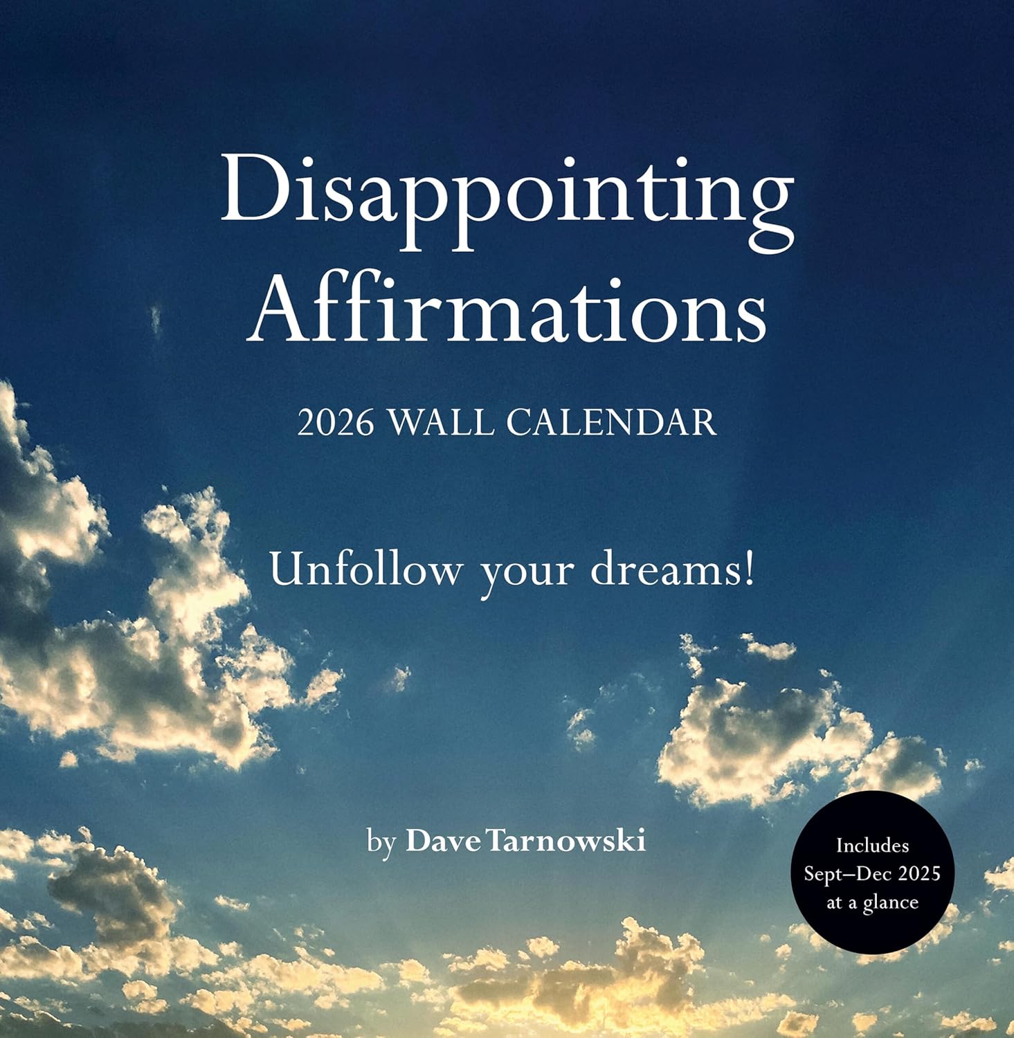 Disappointing Affirmations 2026 Wall Calendar - Image 1