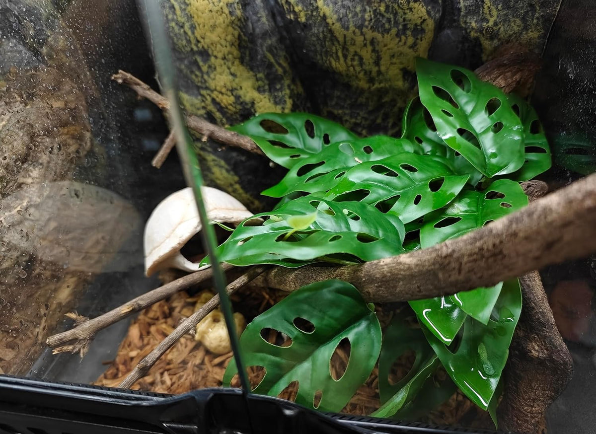 Woyrise Monstera Adansonii faux plant bendable leaves