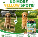 Cudory urinary tract and gut health supplements for dogs chicken flavor.