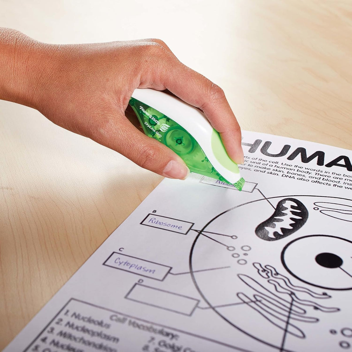 Paper Mate DryLine correction tape swivel tip detail