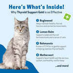 USA imported feline endocrine wellness liquid drops