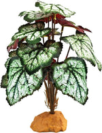 Woyrise Reptile Artificial Plants for Terrarium Decor, Amphibian Habitat Decorations Bearded Dragon Tank Accessories fit Crested Gecko Leopard Lizard Chameleon Snake Frog - White Edge Heuchera - Image 10