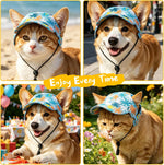 Medium size dog baseball cap flat lay view