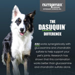 Premium hip and joint supplement bottle for dogs under sixty pounds