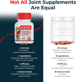 Antinol Plus fast acting dog joint supplement imported from USA