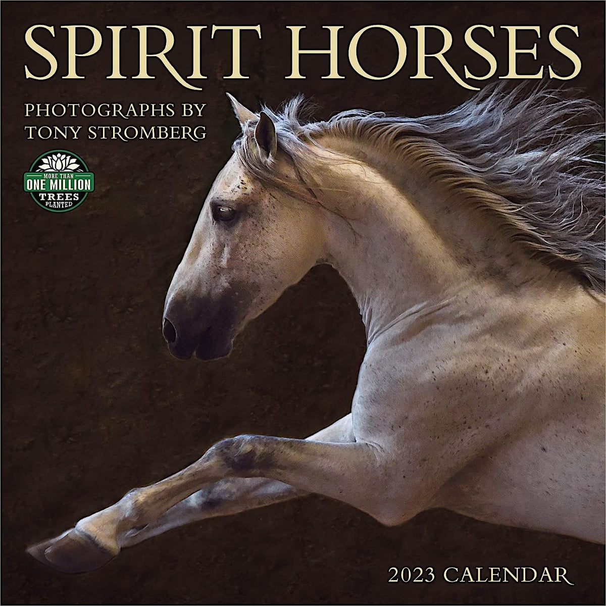 Spirit Horses 2023 Wall Calendar - Image 1