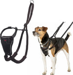 Halti No Pull Harness - Stop Your Dog Pulling on the Leash. Adjustable, Lightweight and Easy to Use. Reflective Dog Training Harness for Medium Dogs (Size M, Black) - Image 9