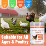 Premium imported USA chicken electrolyte powder for Indian backyard poultry.