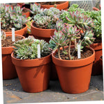 White plastic plant markers showcasing clean modern style