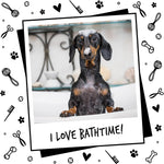 Bugalugs papaya and coconut dog grooming conditioner bottle setup