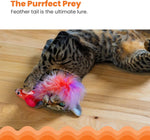 USB rechargeable motion activated cat toy