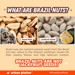Exotic Amazon Rainforest Brazil nuts texture