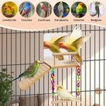 Shatterproof acrylic bird mirror with wooden perch for cockatiels.