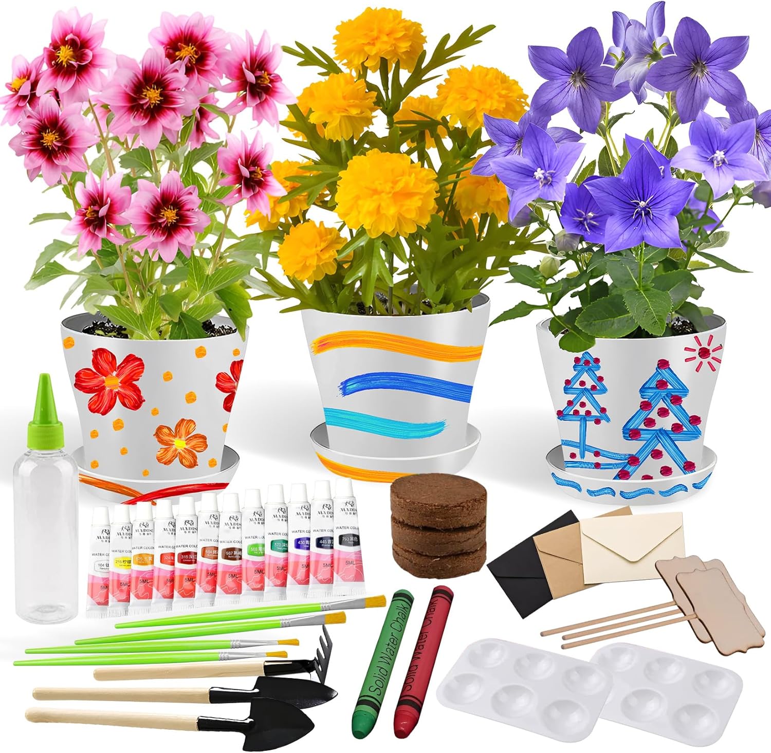 Ozzagar paint and plant childrens gardening kit front view showing packaged box and complete contents