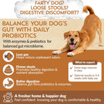 Fidobiotics medium dogs probiotic supplement container displaying 6 billion CFUs.