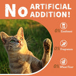 Just Try advanced cardiac and vision support snacks for cats jar