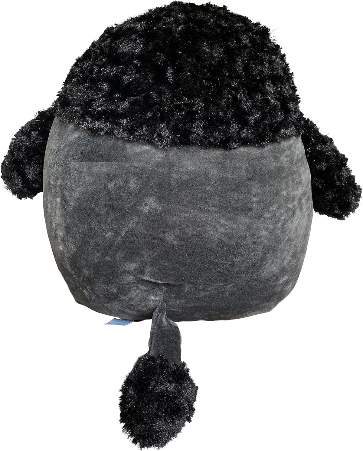 Squishmallows Jettward poodle plush toy showing curly fur details